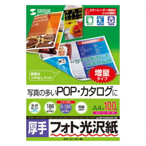 TTvC J[[U[ptHg  A4 100 LBP-KAGNA4N-100yEsz