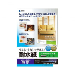 �T�����T�v���C �J���[���[�U�[�p �ϐ��� ���� A3�T�C�Y LBP-WPF22MDPN-A3�y����s�z