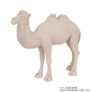 cY N_IuWF 2054yEsz