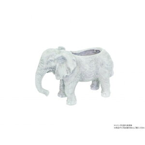 cY Gt@g|bg 3255yEsz