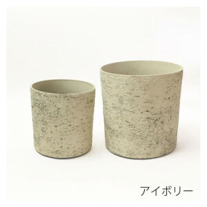 Bennyfs xj[Y v^[(2TCYZbg) BL-034yEsz