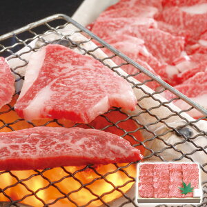 ߍ] Jrēi600gj 琬 Mtg v[g 蕨 ysz