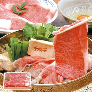 ߍ]Ăp 300g 琬 Mtg v[g 蕨 ysz