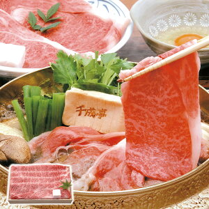 ߍ][XĂp 琬 Mtg v[g 蕨 ysz