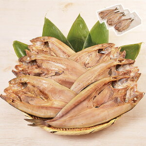 北海道ホッケ(恵) 江戸屋 ギフト プレゼント 贈り物 【代引不可】