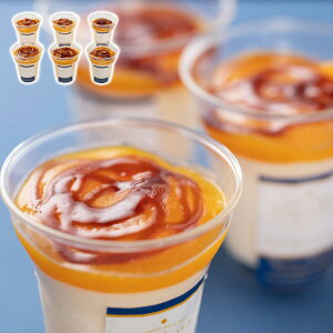 E䁄TERAKOYAďC Z}S[v ACK[ Mtg v[g 蕨 ysz