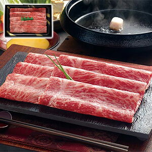 ߍ] ₫ 450g Tj[t[Y Mtg v[g 蕨 ysz