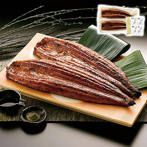 BY Ȃ̊ Tj[t[Y Mtg v[g 蕨 ysz