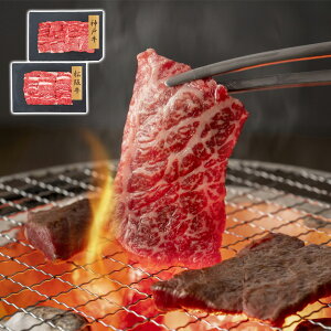 _ˋE㋍ ē o v[[hbO t@[ Mtg v[g 蕨 ysz