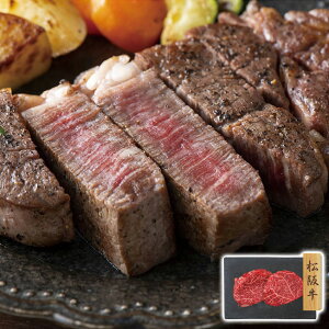 ㋍ ԐgXe[L 80g×2 v[[hbO t@[ Mtg v[g 蕨 ysz