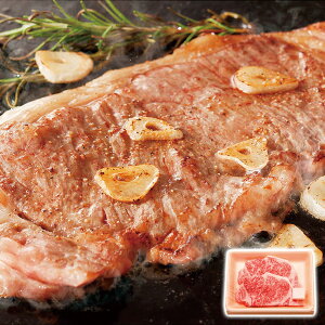 ㋍T[CXe[L ЃTVN Mtg v[g 蕨 ysz