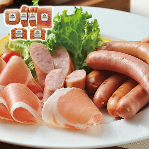 yGg[ōő100%|CgobNz DyJgoGeBZbg Dyoion Mtg v[g 蕨 ysz