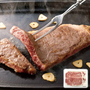 R`[XXe[L ЃGXg Mtg v[g 蕨 ysz