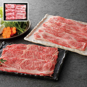 ĐHה ЃGXg Mtg v[g 蕨 ysz