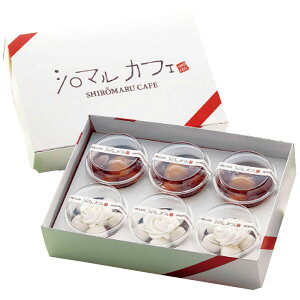 kCuV}JtFvʃXC[c6Zbg (L)ACGXC Mtg v[g 蕨 ysz