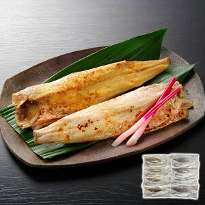 kC MY قЁEЋl HiJ() Mtg v[g 蕨 ysz