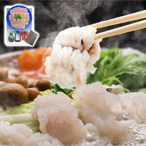 啪 ͂ HiJ() Mtg v[g 蕨 ysz