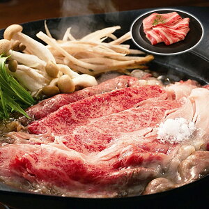  _˃r[t₫ o400g HiJ() Mtg v[g 蕨 ysz