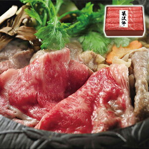 yGg[ōő100%|CgobNz đ򋍃ėp đ򋍉 YO ґ  MtgɍœK Hʂ 蕨  ysz