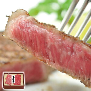 đ򋍃RrXe[L đ򋍉 YO ґ  MtgɍœK Hʂ 蕨  ysz