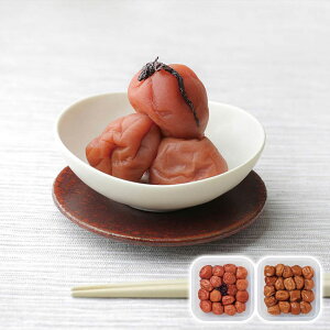 華やか彩り梅セット 〜はちみつ&しそ梅〜 株式会社エルスト 産直グルメ 贅沢 お取り寄せ ギフトに最適 食卓を彩る 贈り物 ごちそう 【代引不可】