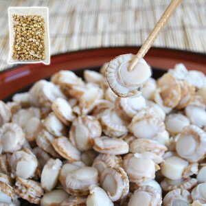 kCY Ɩpxr[{CقĊL ԑY YO ґ  MtgɍœK Hʂ 蕨  ysz