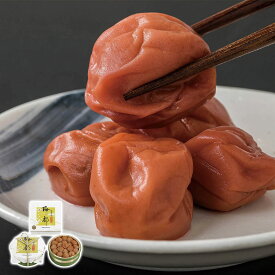 紀州梅の都 500g 中田食品 産直グルメ 贅沢 お取り寄せ ギフトに最適 食卓を彩る 贈り物 ごちそう 【代引不可】