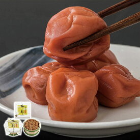 紀州梅の都 800g 中田食品 産直グルメ 贅沢 お取り寄せ ギフトに最適 食卓を彩る 贈り物 ごちそう 【代引不可】