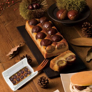 I(C) 1{ Ε ~Mtg ِSJ ~̑蕨 NMtg ӂ̑蕨 bɂȂ ysz