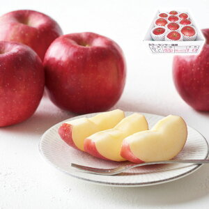 XY x14xۏ؃Tӂ2.5kg Ε ~Mtg }} ~̑蕨 NMtg ӂ̑蕨 bɂȂ ysz