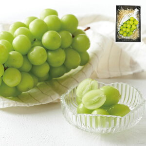 쌧Y VC}XJbg Ε ~Mtg }} ~̑蕨 NMtg ӂ̑蕨 bɂȂ ysz