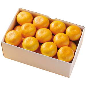 QY ݂2kg Ε ~Mtg t[c[h ~̑蕨 NMtg ӂ̑蕨 bɂȂ ysz