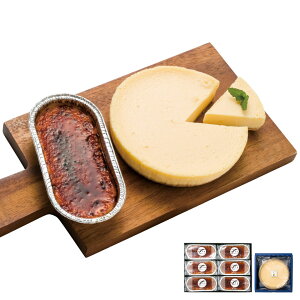 J^[i6E`[YP[LZbg Ε ~Mtg Castagna ~̑蕨 NMtg ӂ̑蕨 bɂȂ ysz