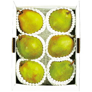 ݉̎R`YEtX2kg Ε ~Mtg ۏ ~̑蕨 NMtg ӂ̑蕨 bɂȂ ysz