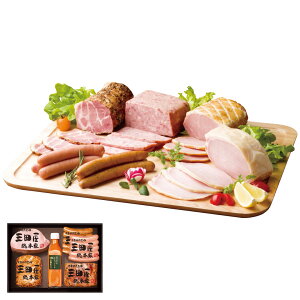 Oc{ nl KS-100 Ε ~Mtg Oc{ ~̑蕨 NMtg ӂ̑蕨 bɂȂ ysz