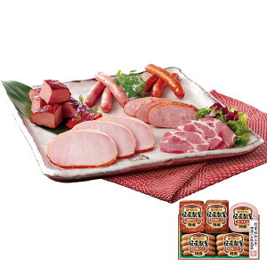 `MtgZbg TAV-39A Ε ~Mtg ɓn ~̑蕨 NMtg ӂ̑蕨 bɂȂ ysz