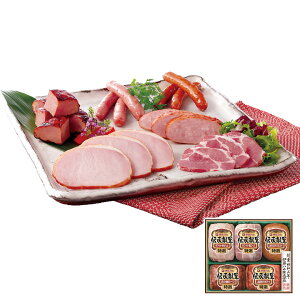 `MtgZbg GM-400 Ε ~Mtg ɓn ~̑蕨 NMtg ӂ̑蕨 bɂȂ ysz