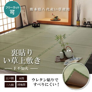 フリーカット い草 上敷き カーペット 『F不知火』 団地間8畳(約340×340cm) フリーカット対応のい草上敷き 【代引不可】