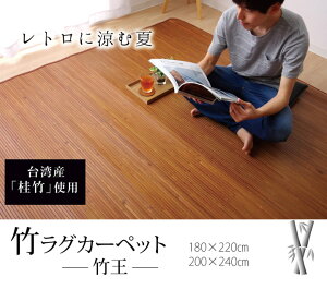 n ׂЂgp |OJ[ybg w|x 180×220cm NgVvȒ|J[ybg ysz