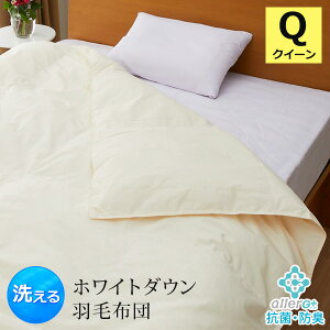 羽毛布団 クイーン 洗える 抗菌 防臭 1年保証 日本製 春・夏用 アレルGプラス 掛け布団 肌掛け布団 羽毛肌布団 夏布団 肌布団 ホワイトダックダウン 布団 ふとん ダウンケット 防ダニ CIL 冷房