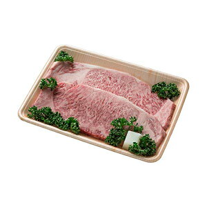 䋍 T[CXe[L 180g 2Zbg Xe[L a  yY 䒆 Ε  Ε ysz