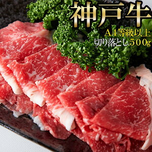 _ˋ ؂藎Ƃ 500g A4ȏ!!~ɊyIʁz   ysz
