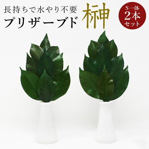 yGg[ōő100%|CgobNzy[ցz vU[uh  v~A STCYi΁j ֗tpVĎ擾@H sv ysz