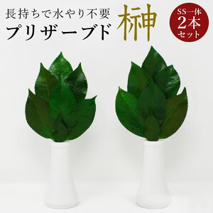 y[ցz vU[uh  v~A SSTCYi΁j ֗tpVĎ擾@H sv ysz