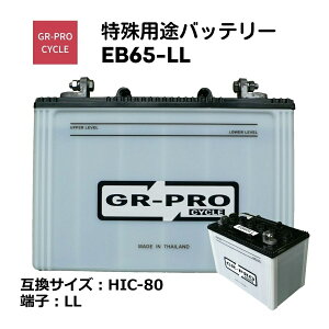 GR-PRO CYCLE probe[ pobe[ Ǝ XC[p[ XNo[ ^d BROAD EB65 EB65-LL y/sz