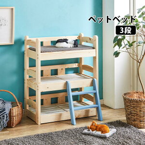 ybgxbh3i ybgpi ybgƋ xbh ؐ ̂ PB-03 y/sz