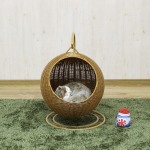 ybgnLO`FA[ ybgpi ybgƋ nMO`FA[ `FA[  킢  PET-HC-BR y/sz