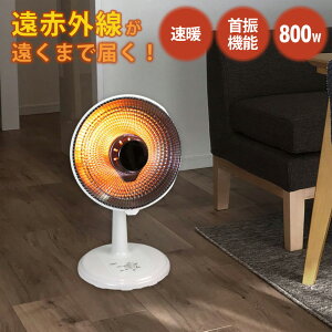 p{J[{q[^[ ԊO ܂ [^[XCb` U@\ ؑ SKJAPAN GXPCWp SKJ-BL81CC ysz