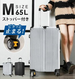 【期間限定8980→6280円】 スーツケース Mサイズ 4泊-7泊 65L 超軽量 ストッパー付き TSAロック 大容量 キャリーケース キャリーバッグ 海外旅行 修学旅行 出張 旅行かばん 男性 女性 Sunruck SR-DT065