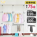 【クーポンで6282円 8/15迄】 突っ張り棒 ハンガーラック 2段 幅170-220cm 伸縮 耐荷重100kg 高さ調節 天井突っ張り式 つっぱり棒 ロング ポールハンガー 強力 服 衣類 収納 部屋干し 室内物干し 物干し竿 洗濯物 一人暮らし 新生活 白 ホワイト SunRuck